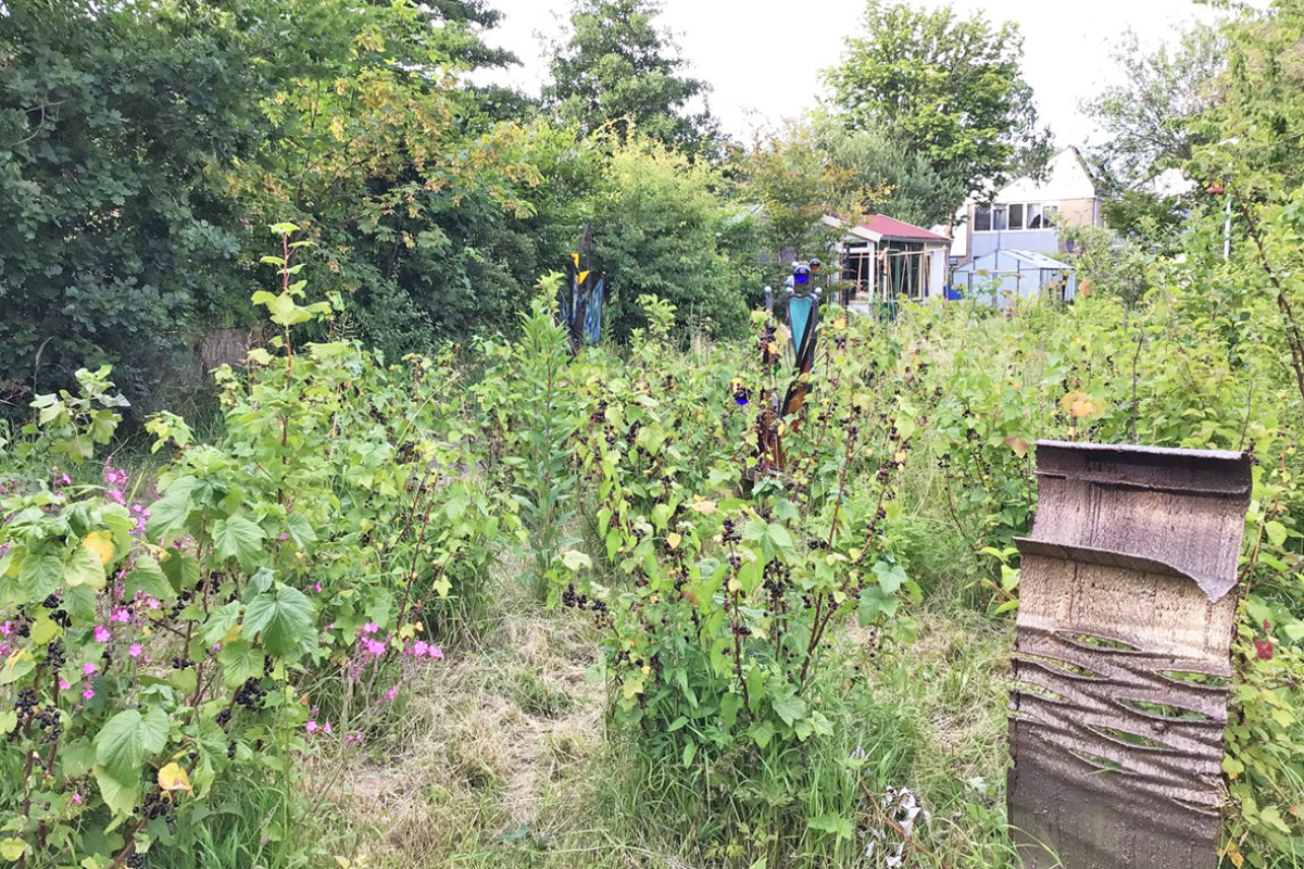 Wilde tuin vol groene planten