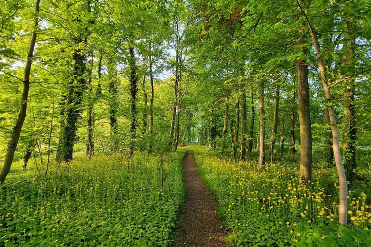 Wandelknooppunten