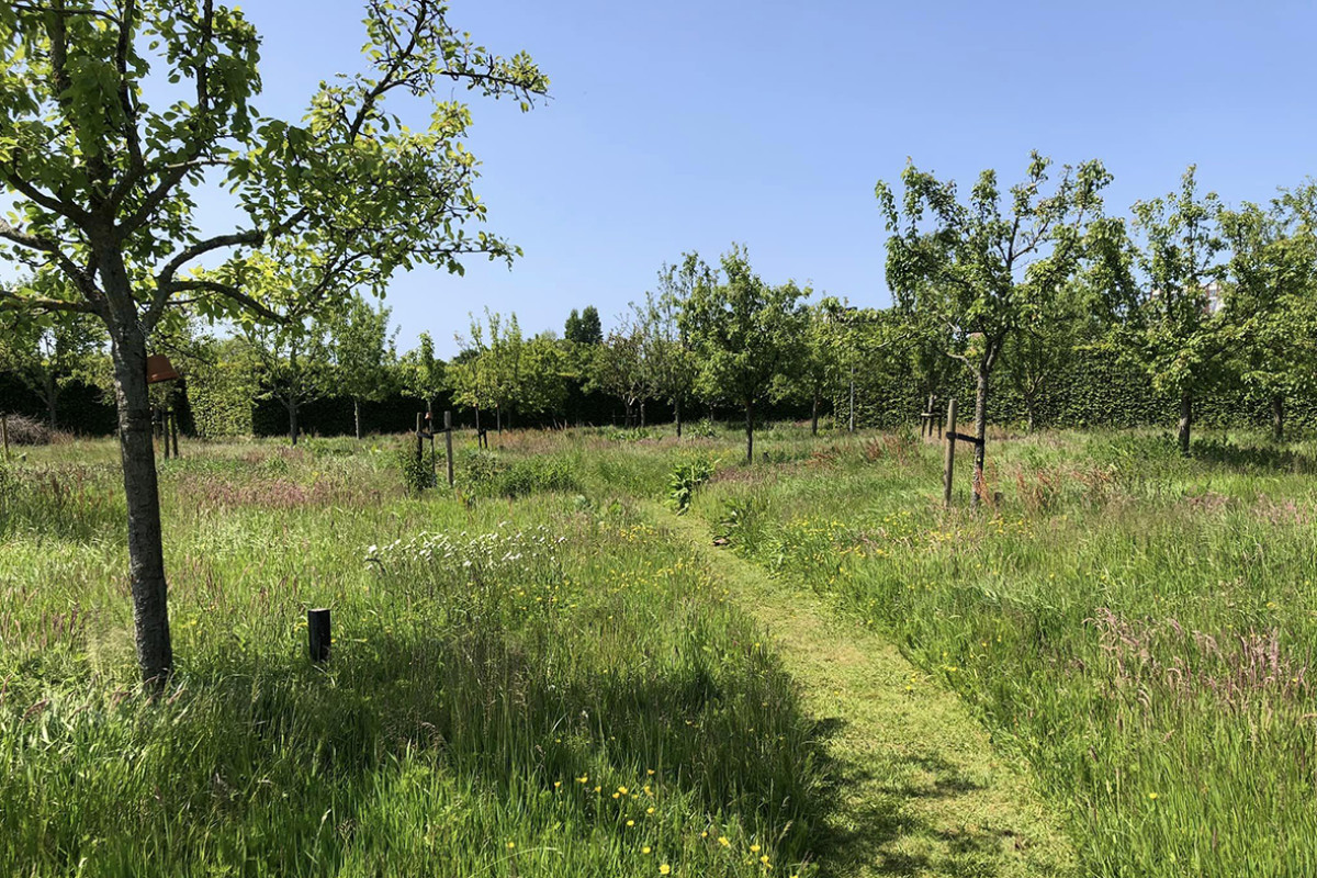 Kasteeltuin Assumburg - speurtocht biodiversiteitspad