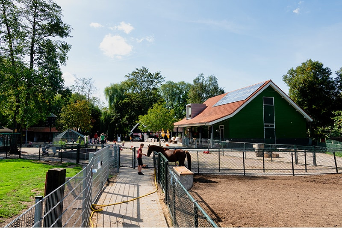 Kinderboerderij Dierendorp op een zonnige dag, er staat een jongen bij een paard