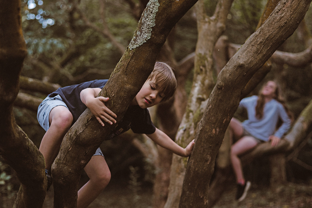 Jongen en meisje klimmen in bomen.