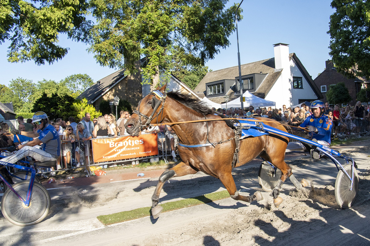 Racepaard met jockey tijdens de harddraverij in Heemskerk