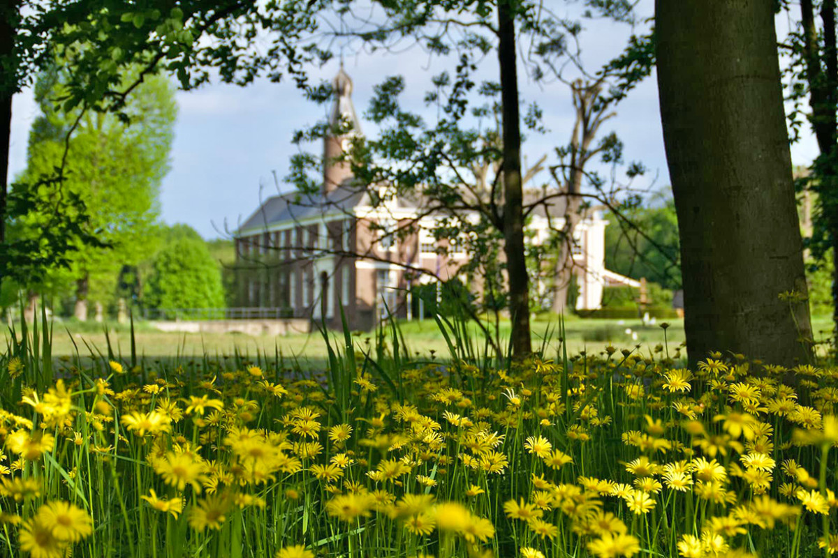 Veld met gele bloemen, wazig op de achtergrond chateau Marquette,