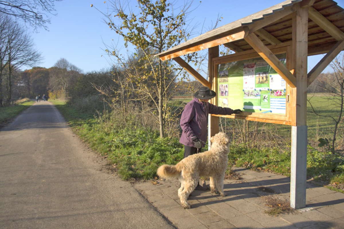 Duinen bij Heemskerk – De Vlotter