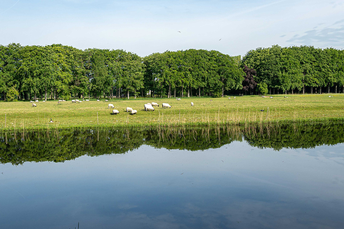 Gave ommetjes: Rendorppark