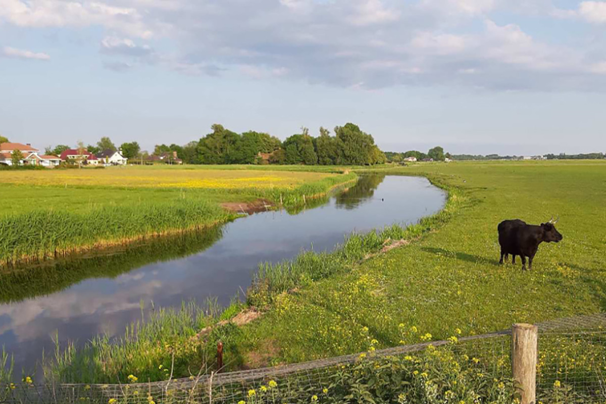 Langs bunkers en forten