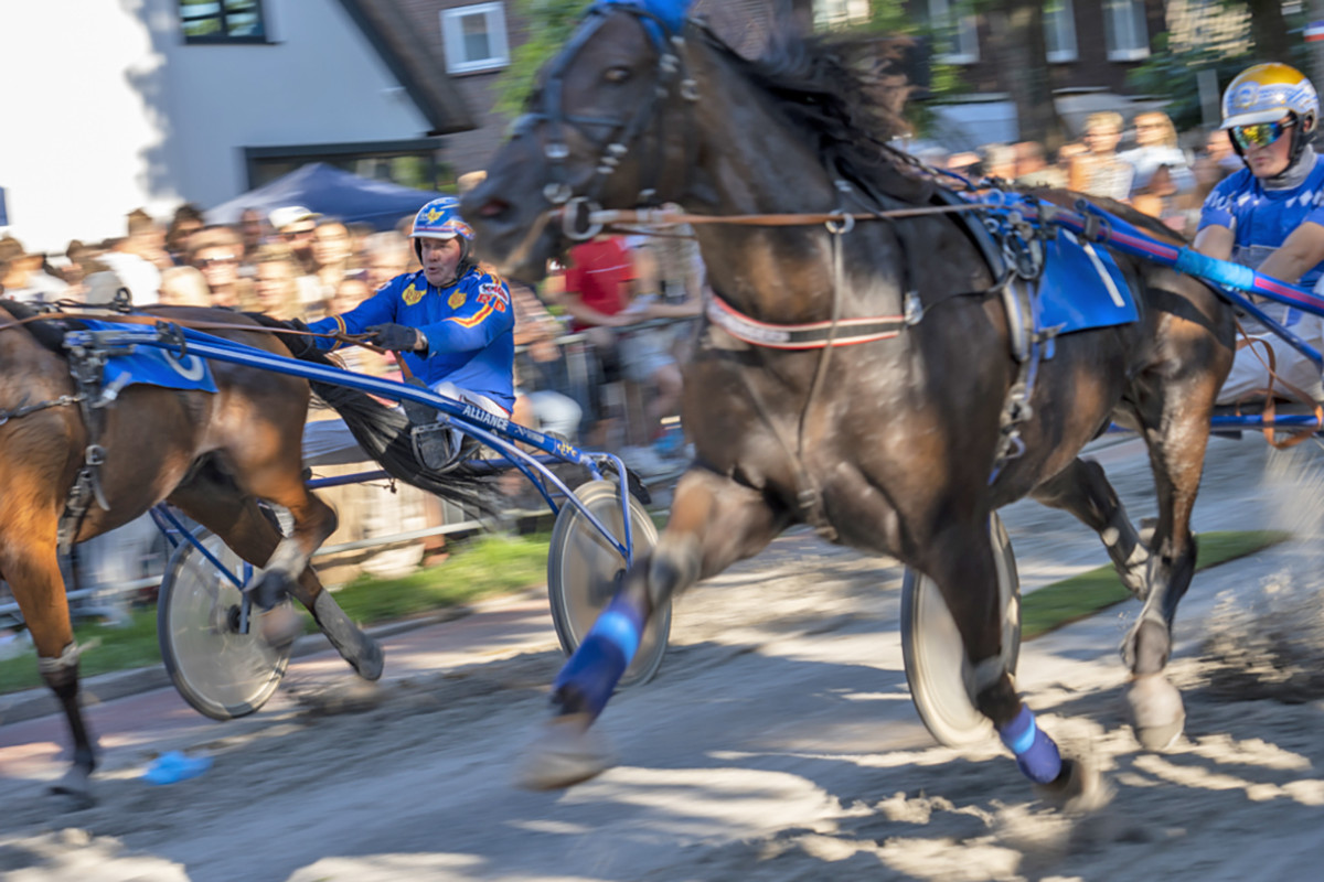 Harddraverij (paarden) racen door de straat