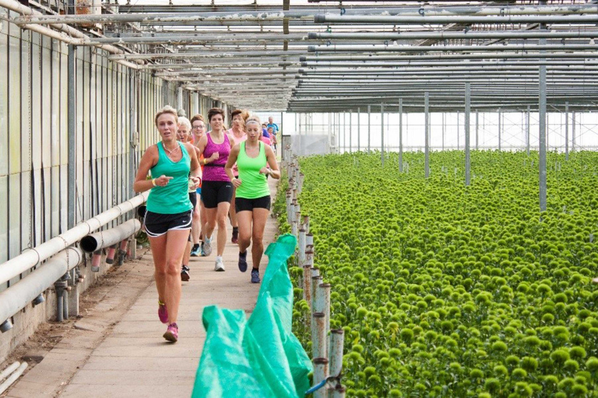 Hardlopers rennen door een kas met planten.