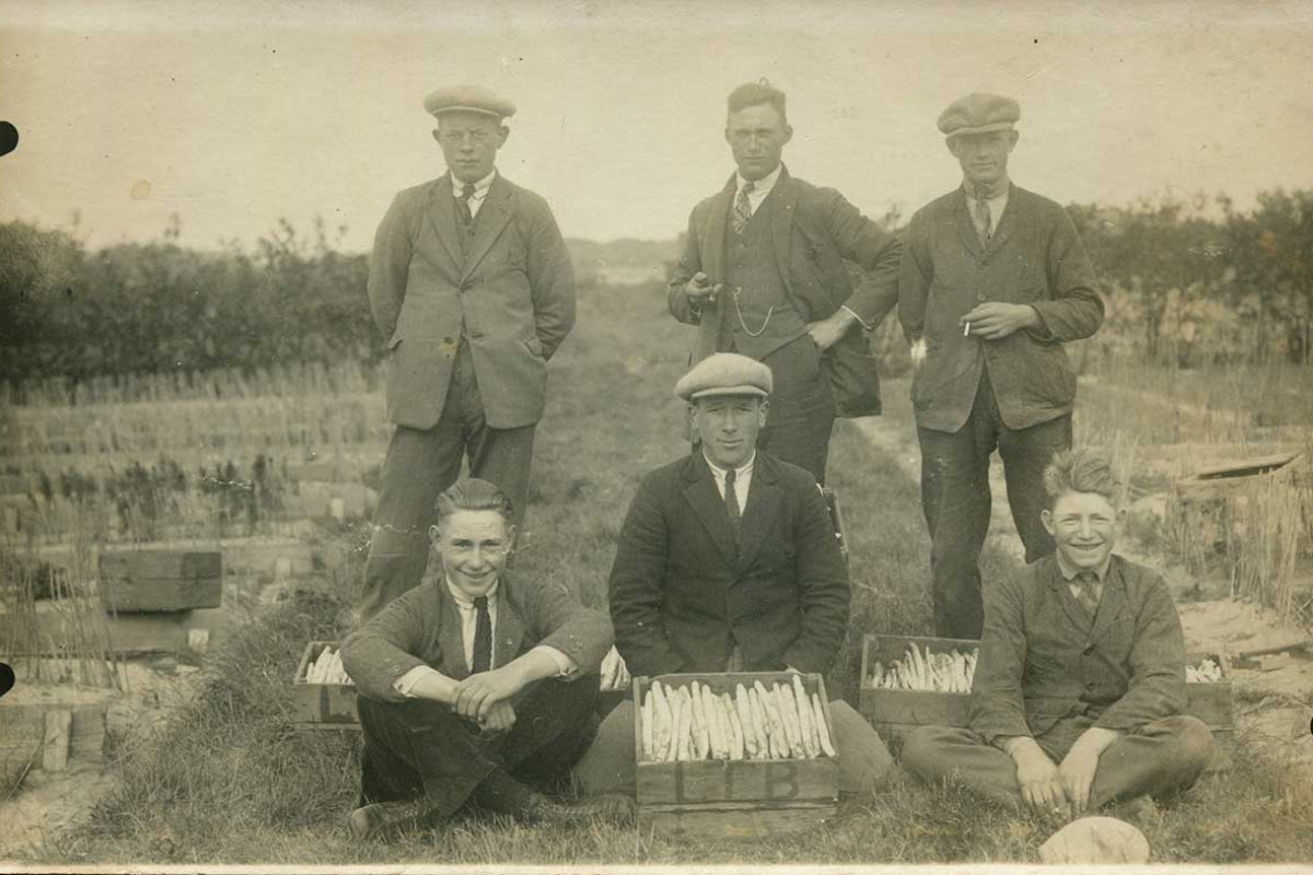 Tuinders op het land met asperges plaatje van vroeger